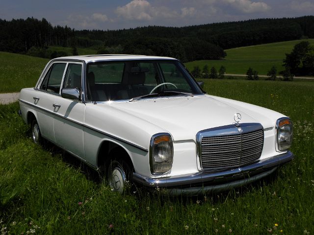 P6250084.JPG