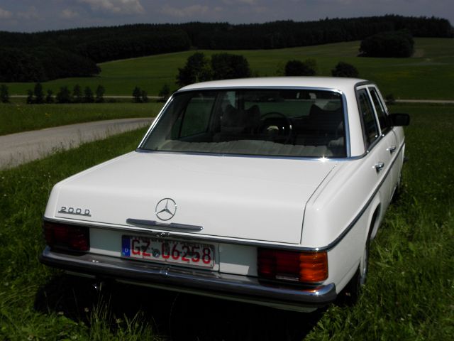 P6250091.JPG