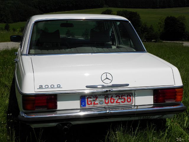 P6250095.JPG