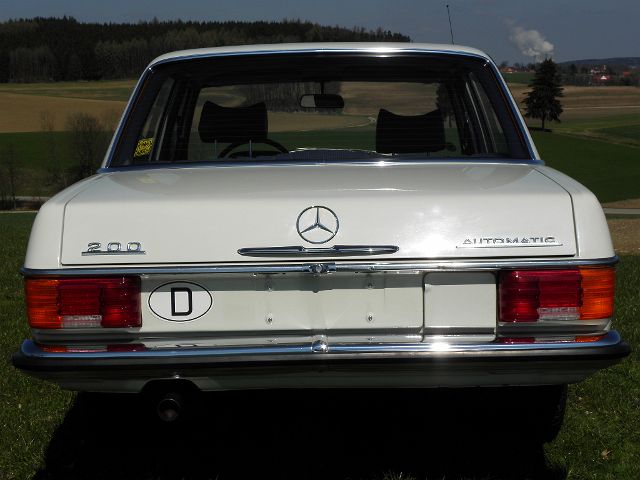 P4060032.JPG