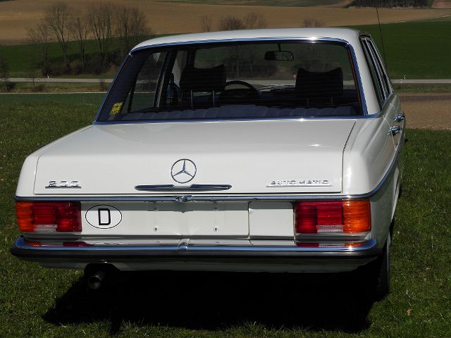 P4060034.JPG