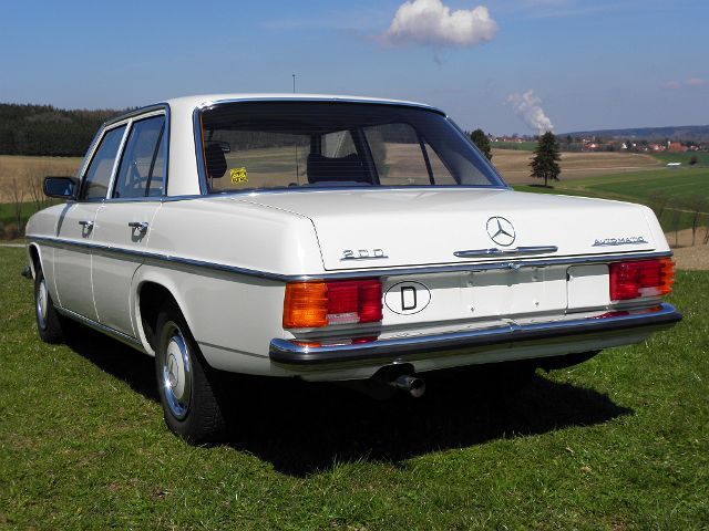 P4060066.JPG