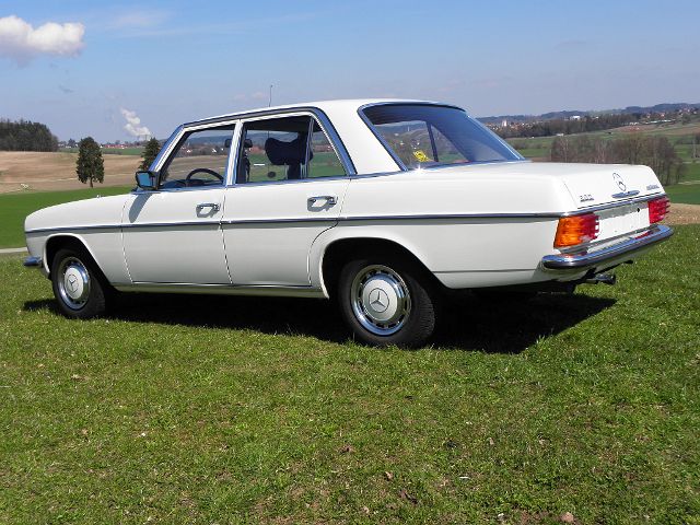 P4060070.JPG