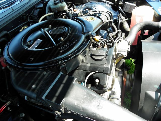 P8020011.JPG