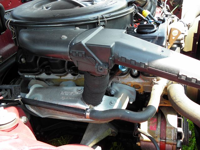 P7100092.JPG