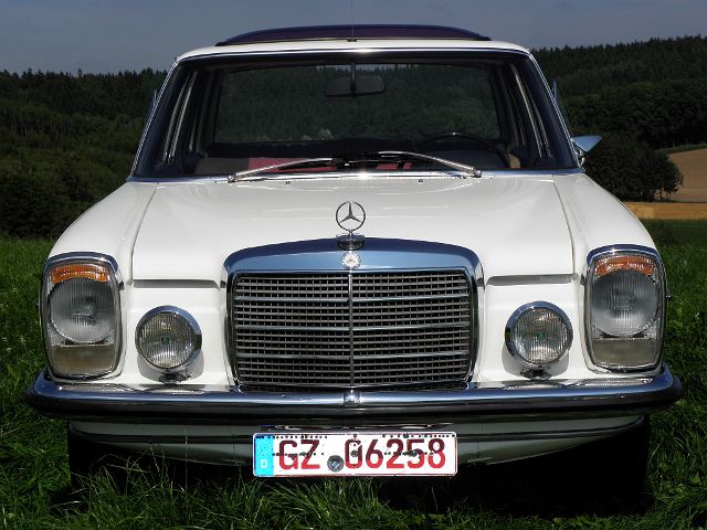 P8210014.JPG