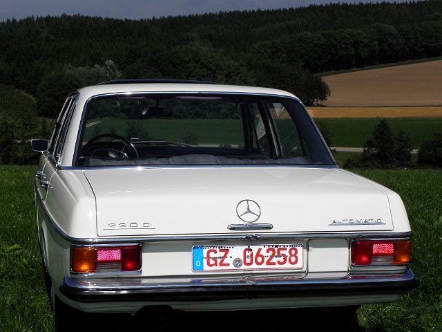 P8210030.JPG