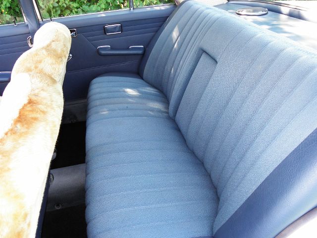 P8210044.JPG