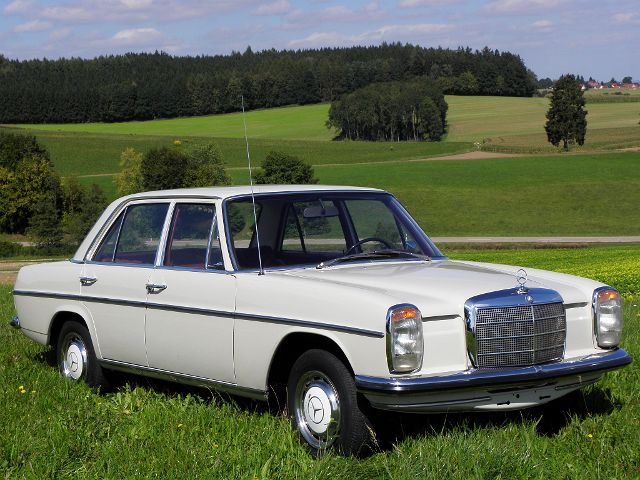 P9150029.JPG