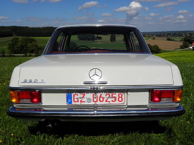 P9150062.JPG