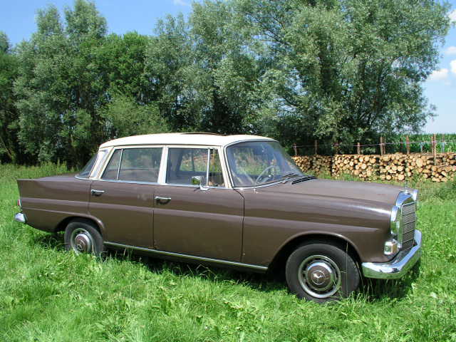 16.JPG