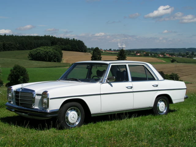 17.JPG