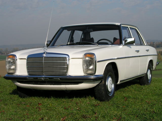P1010015.JPG