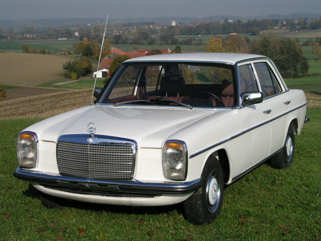 P1010017.JPG