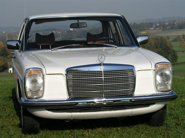 P1010027.JPG