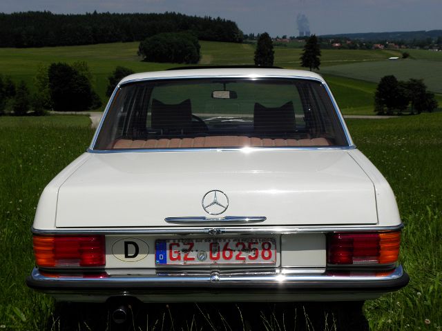 P6240031.JPG