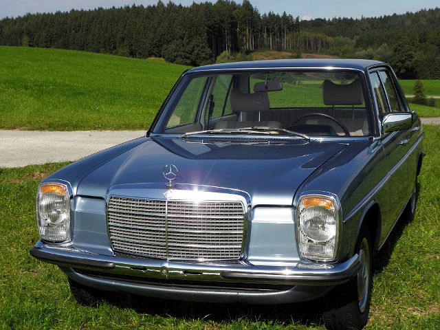 P9180024.JPG
