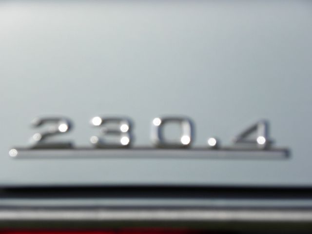 P9180116.JPG