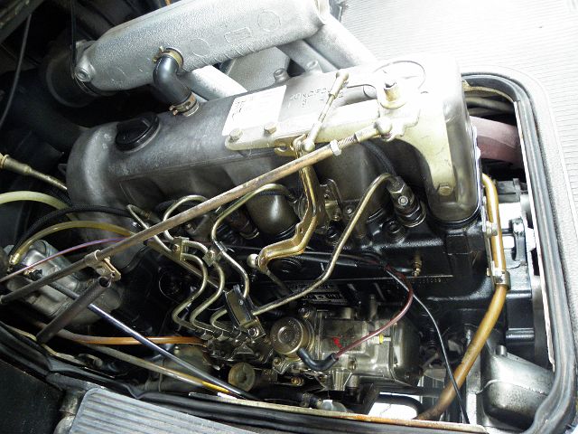 P8030005.JPG