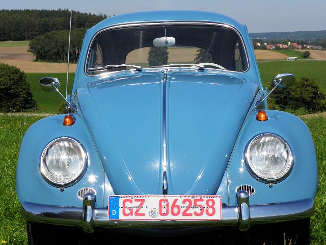 P9040012.JPG