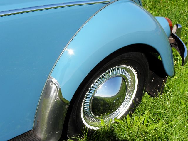 P9040029.JPG