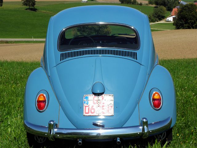 P9040042.JPG