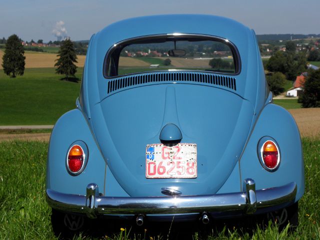 P9040044.JPG