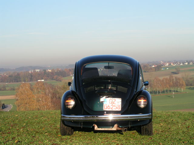 20.JPG