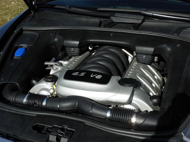 P3190005.JPG
