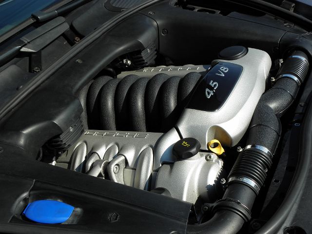 P3190007.JPG