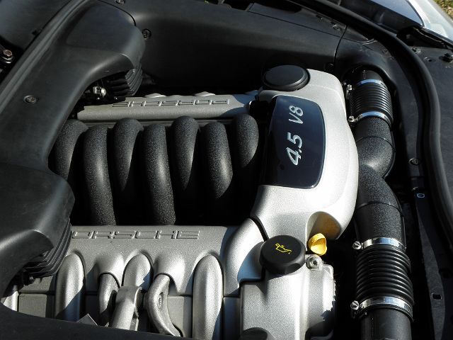 P3190008.JPG