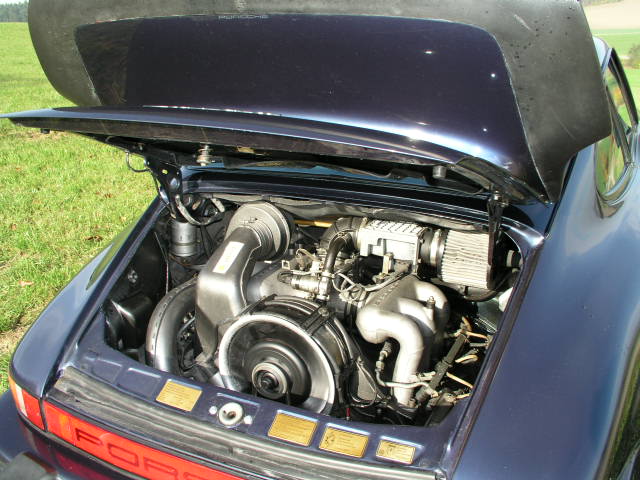 55.JPG